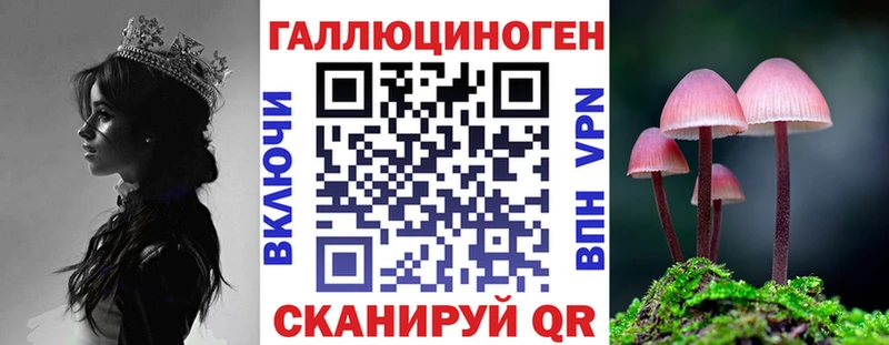 Псилоцибиновые грибы Cubensis  сколько стоит  Белинский 